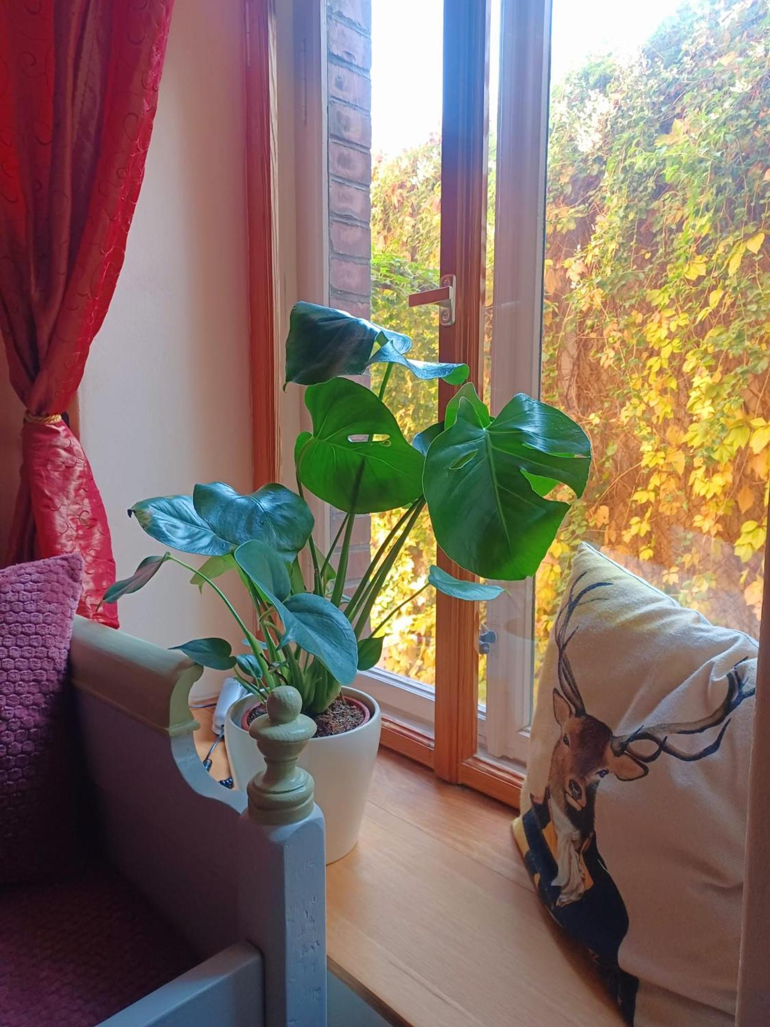 Ferienwohnung Antik Гота Экстерьер фото